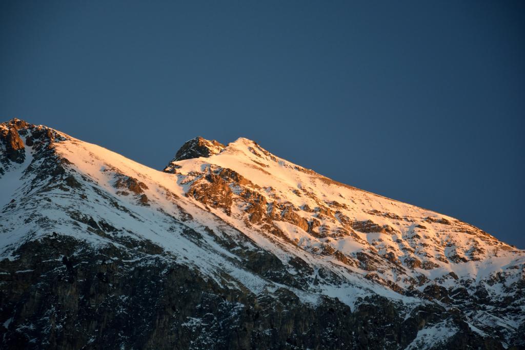 Ferienwohnungen Chesa Clois 24 Lenzerheide Bagian luar foto